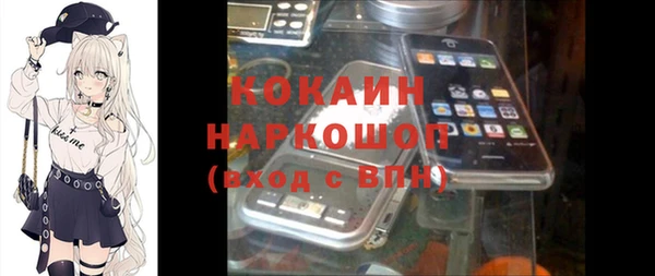 ГАЛЛЮЦИНОГЕННЫЕ ГРИБЫ Покров
