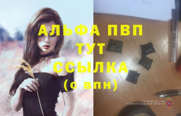 ГАЛЛЮЦИНОГЕННЫЕ ГРИБЫ Покров